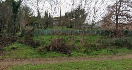 Aureville Terrain à bâtir - 2421332-11450annonce120260206WW47Z.jpeg Maisons France Confort