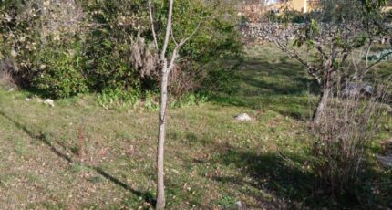 Garéoult Terrain à bâtir - 2451550-5922annonce320260310yBdFv.jpeg Maisons France Confort