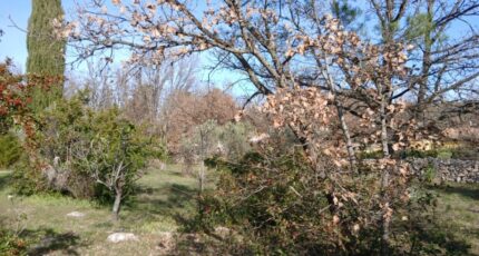 Garéoult Maison neuve - 2453099-5922annonce12026031037XxP.jpeg Maisons France Confort