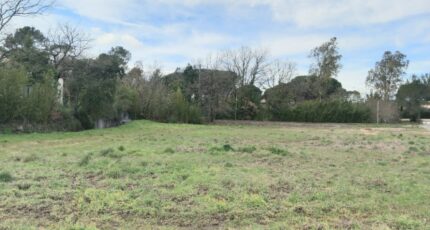 Puget-sur-Argens Terrain à bâtir - 2453111-5826annonce120260311VKnwL.jpeg Maisons France Confort