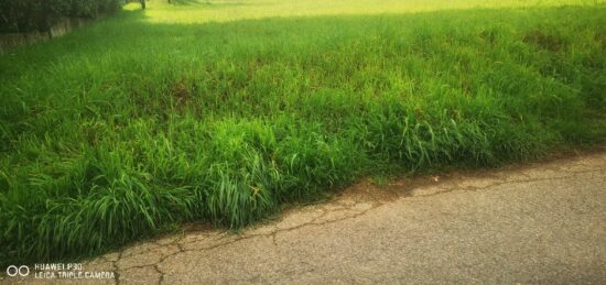 Terrain à bâtir à La Destrousse, Provence-Alpes-Côte d'Azur