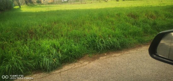 Terrain à bâtir à , Bouches-du-Rhône