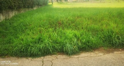 La Destrousse Terrain à bâtir - 2453675-10271annonce4202603116r7ex.jpeg Maisons France Confort