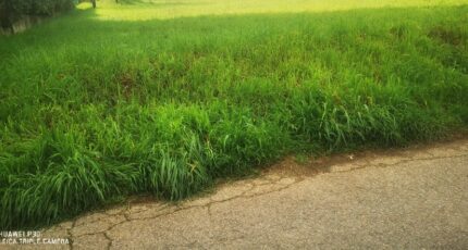 La Destrousse Maison neuve - 2453680-10271annonce120260311cNTsF.jpeg Maisons France Confort