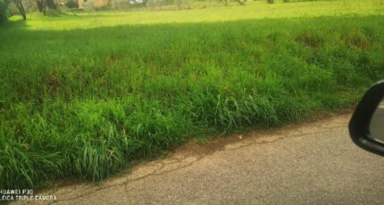 La Destrousse Maison neuve - 2453680-10271annonce220260311FOPxL.jpeg Maisons France Confort