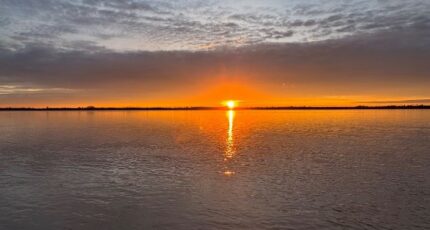 Meschers-sur-Gironde Terrain à bâtir - 2453969-11283annonce120260311a48th.jpeg Maisons France Confort