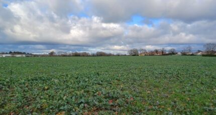 La Garnache Terrain à bâtir - 2453677-11728annonce1202603112eX79.jpeg Maisons France Confort