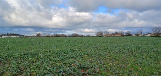 Terrain à bâtir à La Garnache, Pays de la Loire
