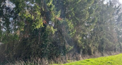 Vaudricourt Maison neuve - 2453858-5804annonce120260311D1XSc.jpeg Maisons France Confort