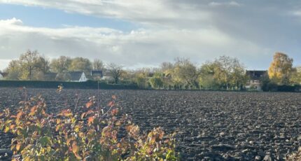 Vendin-lès-Béthune Maison neuve - 2453938-5804annonce1202603110DFAK.jpeg Maisons France Confort