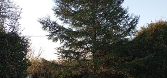 Terrain à bâtir à , Gironde