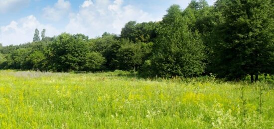 Terrain à bâtir à Verrières, Nouvelle-Aquitaine