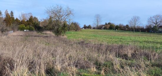 Terrain à bâtir à Salles-d'Angles, Nouvelle-Aquitaine