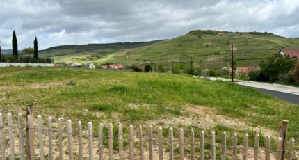 Soultzmatt Terrain à bâtir - 2454993-9613annonce120260312nnaGf.jpeg Maisons France Confort