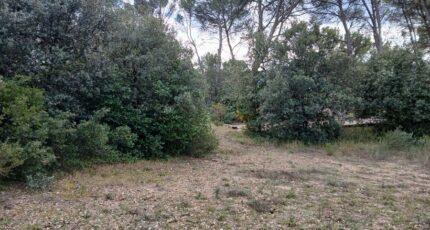 Ventabren Maison neuve - 2455298-11680annonce220260312pbytf.jpeg Maisons France Confort