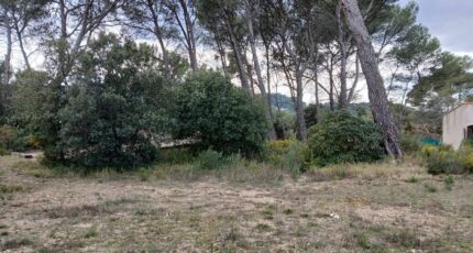 Ventabren Terrain à bâtir - 2455293-11680annonce3202603124VMqH.jpeg Maisons France Confort