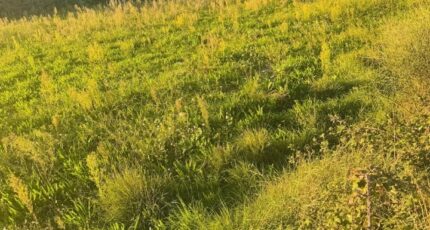 Istres Maison neuve - 2455340-11677annonce220260312lhDCP.jpeg Maisons France Confort