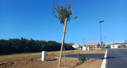 Saint-Yrieix-sur-Charente Maison neuve - 2455626-11800annonce320260312XxCk7.jpeg Maisons France Confort