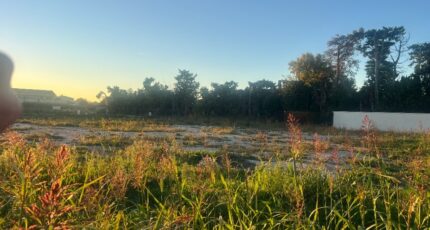 Châteaurenard Terrain à bâtir - 2455654-11073annonce520260312cUbBZ.jpeg Maisons France Confort