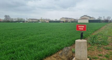 Ars-sur-Formans Maison neuve - 2454927-10453annonce420260312XfACV.jpeg Maisons France Confort