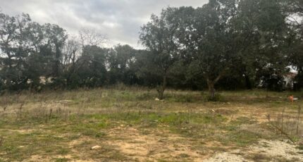 Bollène Maison neuve - 2455730-6150annonce120260313fZHA8.jpeg Maisons France Confort