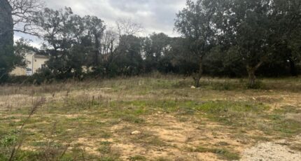 Bollène Maison neuve - 2455730-6150annonce22026031352iCk.jpeg Maisons France Confort