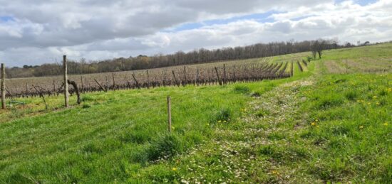 Terrain à bâtir à Baigneaux, Nouvelle-Aquitaine