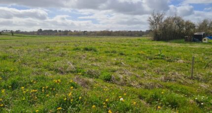 Baigneaux Terrain à bâtir - 2455758-11266annonce220260313yBdee.jpeg Maisons France Confort