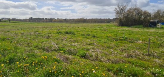 Terrain à bâtir à , Gironde