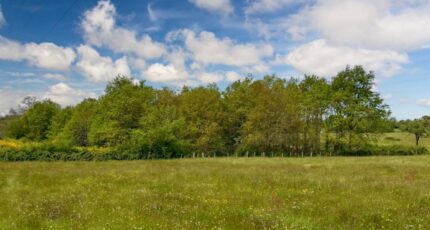 Yvré-l'Évêque Terrain à bâtir - 2453189-6170annonce220260311dEC1v.jpeg Maisons France Confort