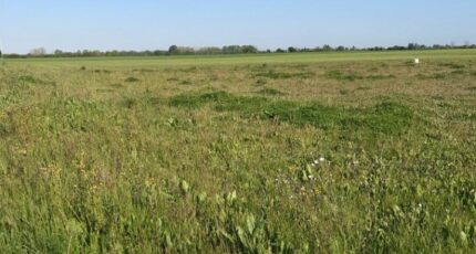 Aigrefeuille-d'Aunis Terrain à bâtir - 2385290-10442annonce220260108ucFo0.jpeg Maisons France Confort