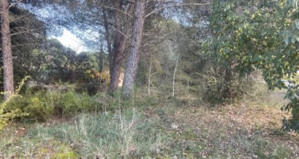 Alleins Terrain à bâtir - 2455828-3969annonce3202603134x0x2.jpeg Maisons France Confort