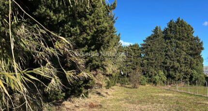 Sorgues Terrain à bâtir - 2456200-695annonce220260313SobsQ.jpeg Maisons France Confort