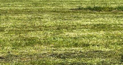 Saint-Hilaire-de-Villefranche Maison neuve - 2456244-10974annonce1202603131ZfXl.jpeg Maisons France Confort