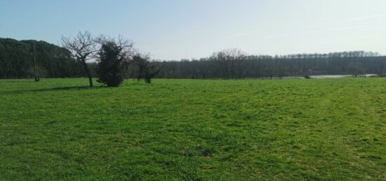 Terrain à bâtir à Saint-Pierre-d'Aurillac, Nouvelle-Aquitaine