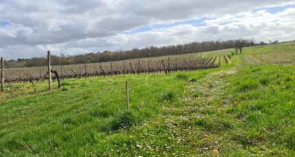 Baigneaux Maison neuve - 2456602-11266annonce120260313QNizK.jpeg Maisons France Confort