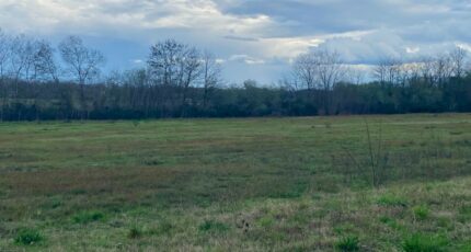 Landiras Terrain à bâtir - 2456560-11795annonce320260313e8nmJ.jpeg Maisons France Confort