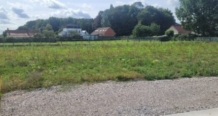 Watten Terrain à bâtir - 2456749-1587annonce220260313l8NBu.jpeg Maisons France Confort
