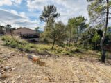 Terrain à bâtir à Rocbaron (83136) 2390897-4866annonce320260113ya1J3.jpeg Maisons France Confort