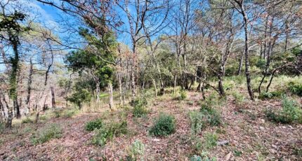 Rocbaron Terrain à bâtir - 2390933-4866annonce420260113mGMQ3.jpeg Maisons France Confort