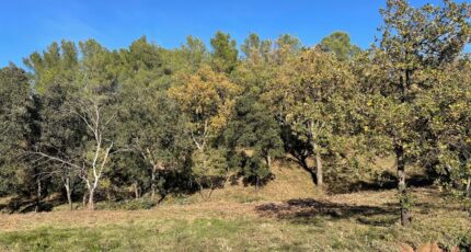 Taradeau Maison neuve - 2390975-4866annonce32026011330Kov.jpeg Maisons France Confort