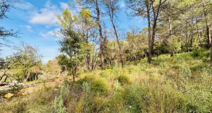 Rocbaron Maison neuve - 2390948-4866annonce220260113g6ML0.jpeg Maisons France Confort