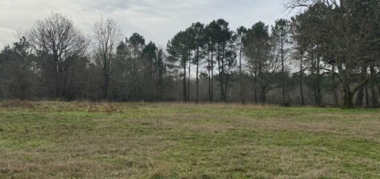 Terrain à bâtir à Le Teich, Nouvelle-Aquitaine