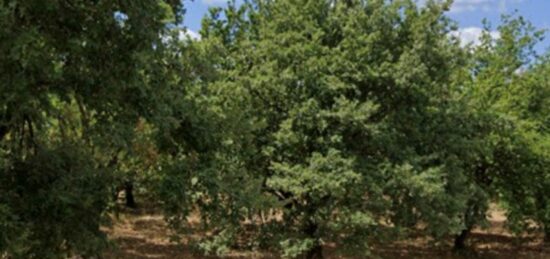 Terrain à bâtir à Romans-sur-Isère, Auvergne-Rhône-Alpes