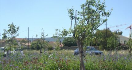 Hyères Terrain à bâtir - 2349981-11077annonce120251126a3ZMP.jpeg Maisons France Confort