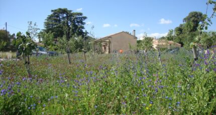 Hyères Maison neuve - 2349982-11077annonce120260106c5f3l.jpeg Maisons France Confort