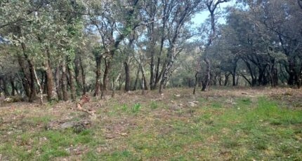 Sainte-Anastasie-sur-Issole Terrain à bâtir - 2365052-11137annonce320250407JcLEs.jpeg Maisons France Confort