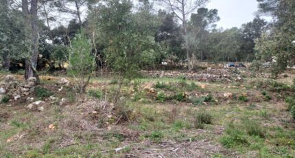 Montfort-sur-Argens Terrain à bâtir - 2385434-11137annonce220250708G8yO8.jpeg Maisons France Confort