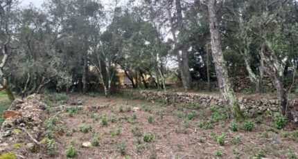 Montfort-sur-Argens Terrain à bâtir - 2385434-11137annonce320250708978Qr.jpeg Maisons France Confort