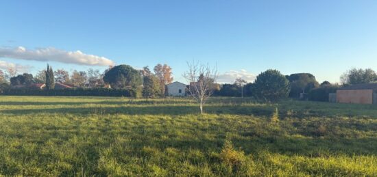 Terrain à bâtir à Ondes, Occitanie